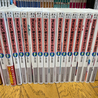 （未使用）冴えないヒロインの育て方　ライトノベル
