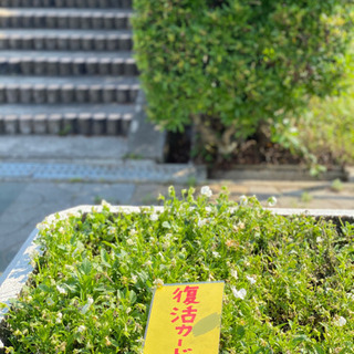 18日(日)逃走中やります‼︎ - 和歌山市