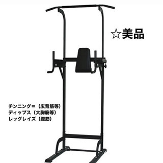 リーディングエッジ ホームジム ST 懸垂器具 腹筋 腕立て運動...