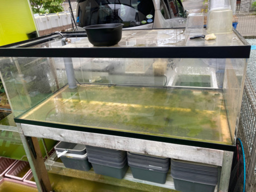 120×60×45 国産アクリルオーバーフロー水槽