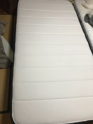 ニトリ　Nスリープhard シングル