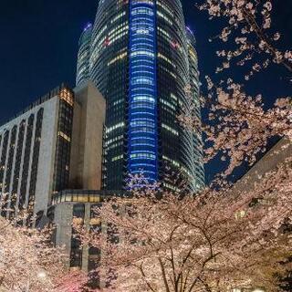 東京散策しませんか～