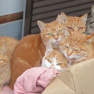 ありがとうございました