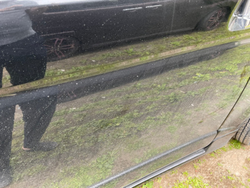 車　磨きます　毎週日曜日限定　雨天不可