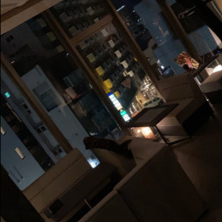 ホールスタッフの画像