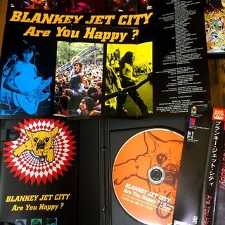 ブランキー ジェット シティ LIVE DVD +ステッカーの画像