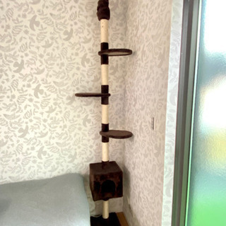 突っ張り式キャットタワーの画像