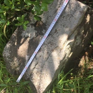 庭石お譲りします！の画像