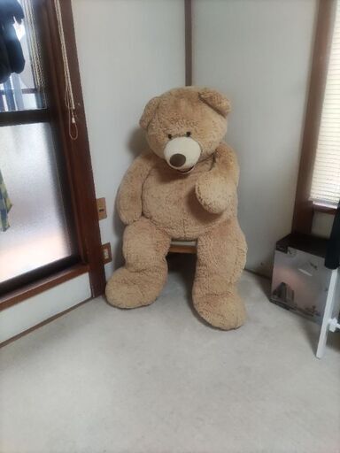 大きなクマのぬいぐるみ