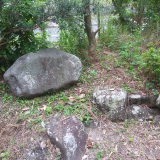 庭石お譲りします！の画像