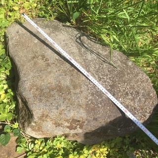 庭石お譲りします！の画像