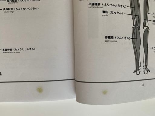 　Ｗ資格   ♥︎SARAの整体講座　基礎知識