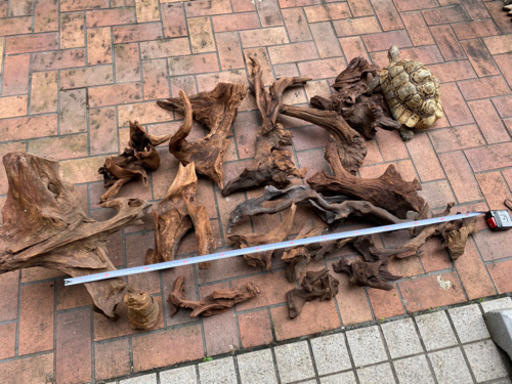 熱帯魚水槽用流木　値下げ