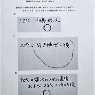 形状記憶合金のコイルの画像