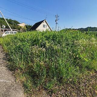 草刈、お引き受けいたします‼️