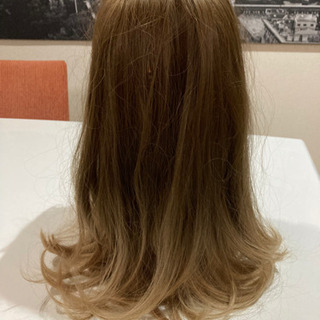 AQUA DALL ウィッグの画像