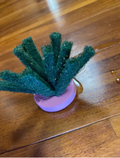 メダカ鯖の極みの卵40個＋ａ個