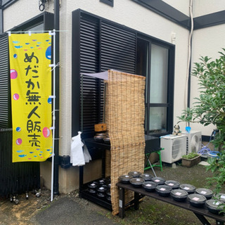 めだか無人販売