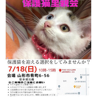『にゃんこねくと』7/18保護猫里親会