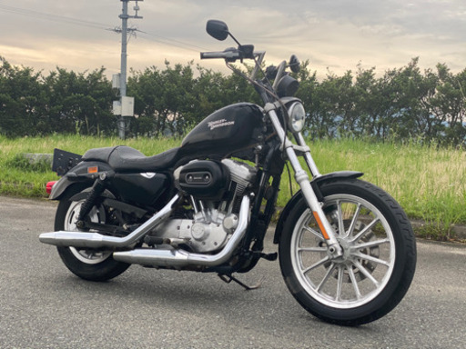 ハーレーダビッドソン　XL883  走行2500キロ　車検ほぼ2年付　陸送可能