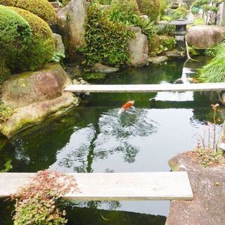 🏘️呉市広弁天橋町 　貸店舗　１階ワンフロア１テナントの物件 − 広島県