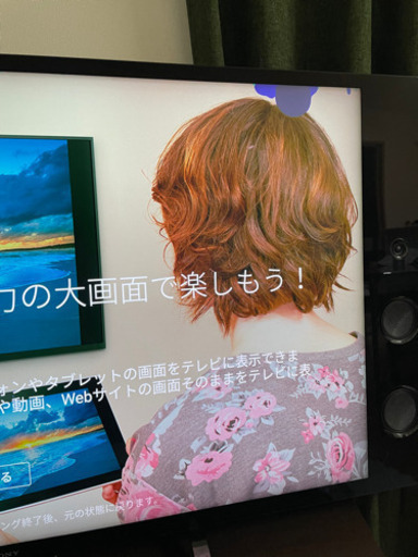 テレビ　ソニー　ブラビア　SONY BRAVIA