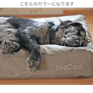 PEPPY ペピイ MiaCara（ミアカラ）ペット用ベッドの画像