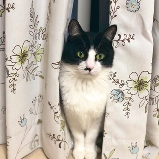 リン　　2歳の女の子