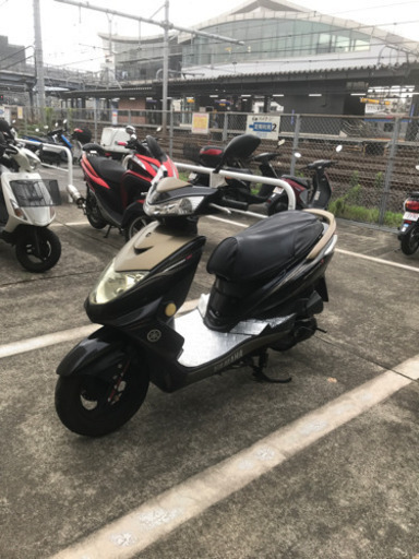 格安バイク　125cc ヤマハシグナス