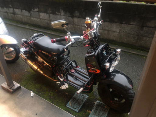 ホンダズーマー不動車