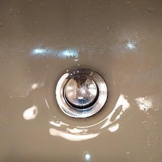 TOTO洗面所の排水口の掃除