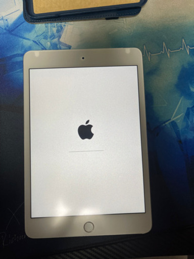 iPad mini4