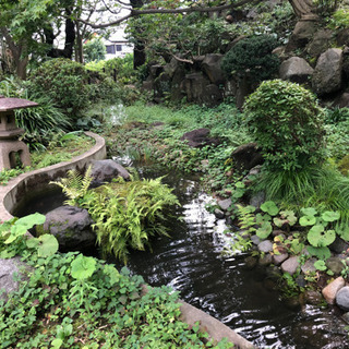 都内唯一の渓谷に行きませんか？🚶‍♀️🚶🏻‍♂️👫 - 友達