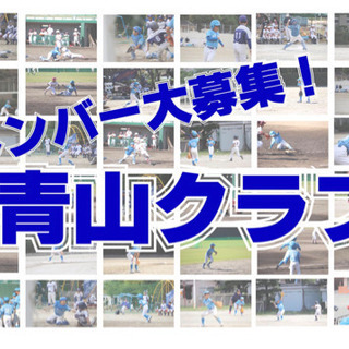 少年野球『青山クラブ』　メンバー大募集‼︎