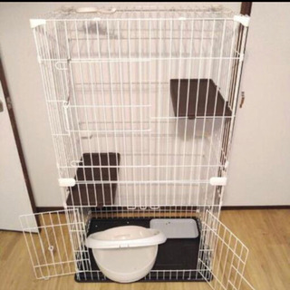 猫ゲージ！