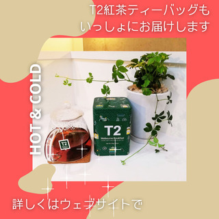 英文添削（オンライン提出→郵便受取）T2紅茶ティーバッグ付の画像