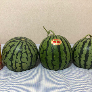🍉限定販売500円スイカ🍉　農家直送　熊本植木スイカ　羅皇❣️