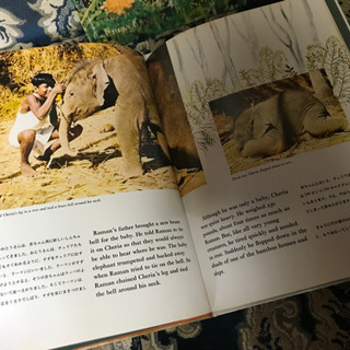 【レア】レトロ本♡英語本 30年前の英才教材計26冊の画像