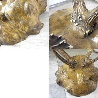 こぶの木 鹿の角 刀掛け オブジェ 置物 幅48×高さ70