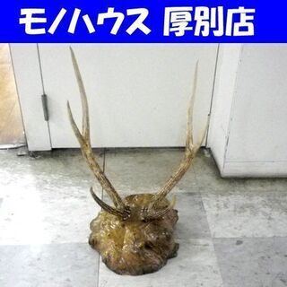 こぶの木 鹿の角 刀掛け オブジェ 置物 幅48×高さ70×奥行40cm 和室 床の間  札幌 厚別店