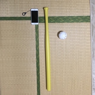 ウィッフルボールで『大谷翔平』してみませんか？（＝リアル二刀流、変化球が簡単に投げられる）体験会あり - メンバー募集