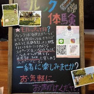 ７月11日一緒にモルックやりませんか？😊 − 神奈川県