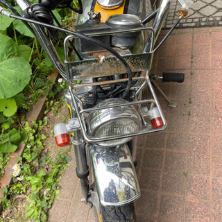 ゴリラ　88