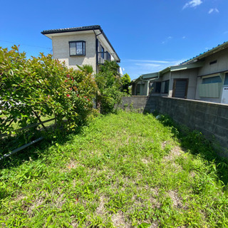 草刈り致します。丁寧作業お約束。の画像