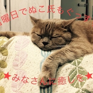 オイルマッサージ全身70分4,000円〜