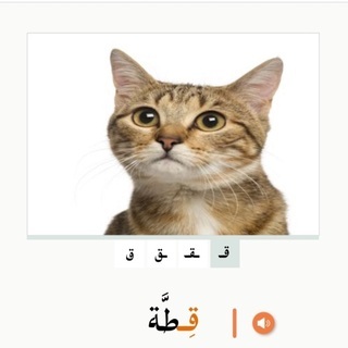 アラビア語をゼロから学ぼう