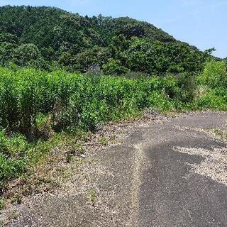 耕運機、トラクター
