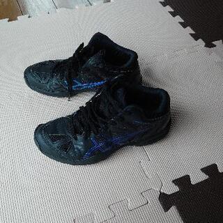 asicsバスケットシューズ　23cm