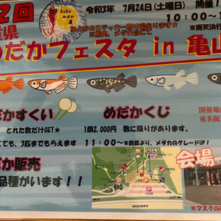 第2回めだかフェスタ IN亀山開催のお知らせ