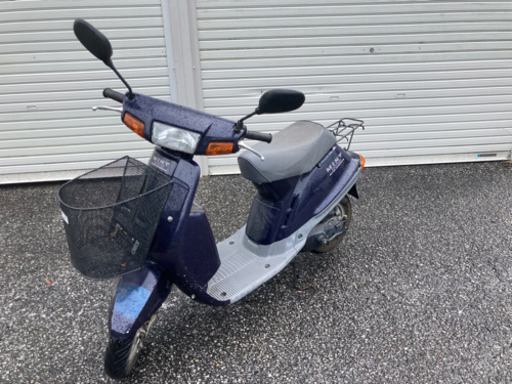 【売約済】1YU ミント 乗れます